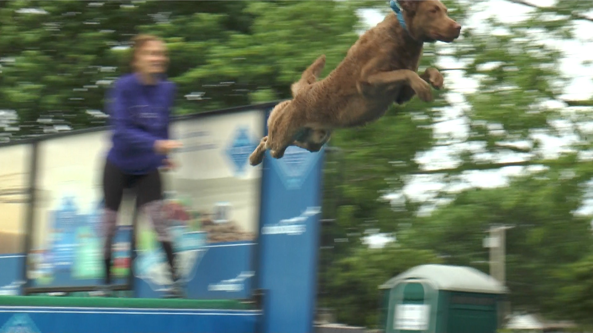 Dogs Dock Dive for Dollars to Benefit North Fork Charities 